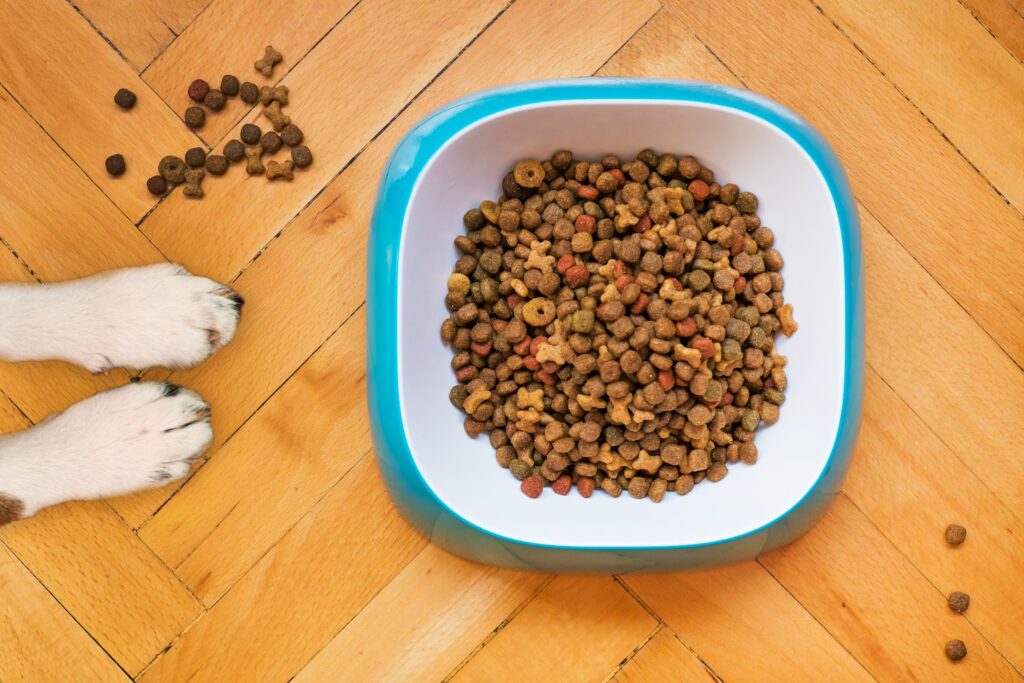 Healthy Organic Pet Food for Dogs