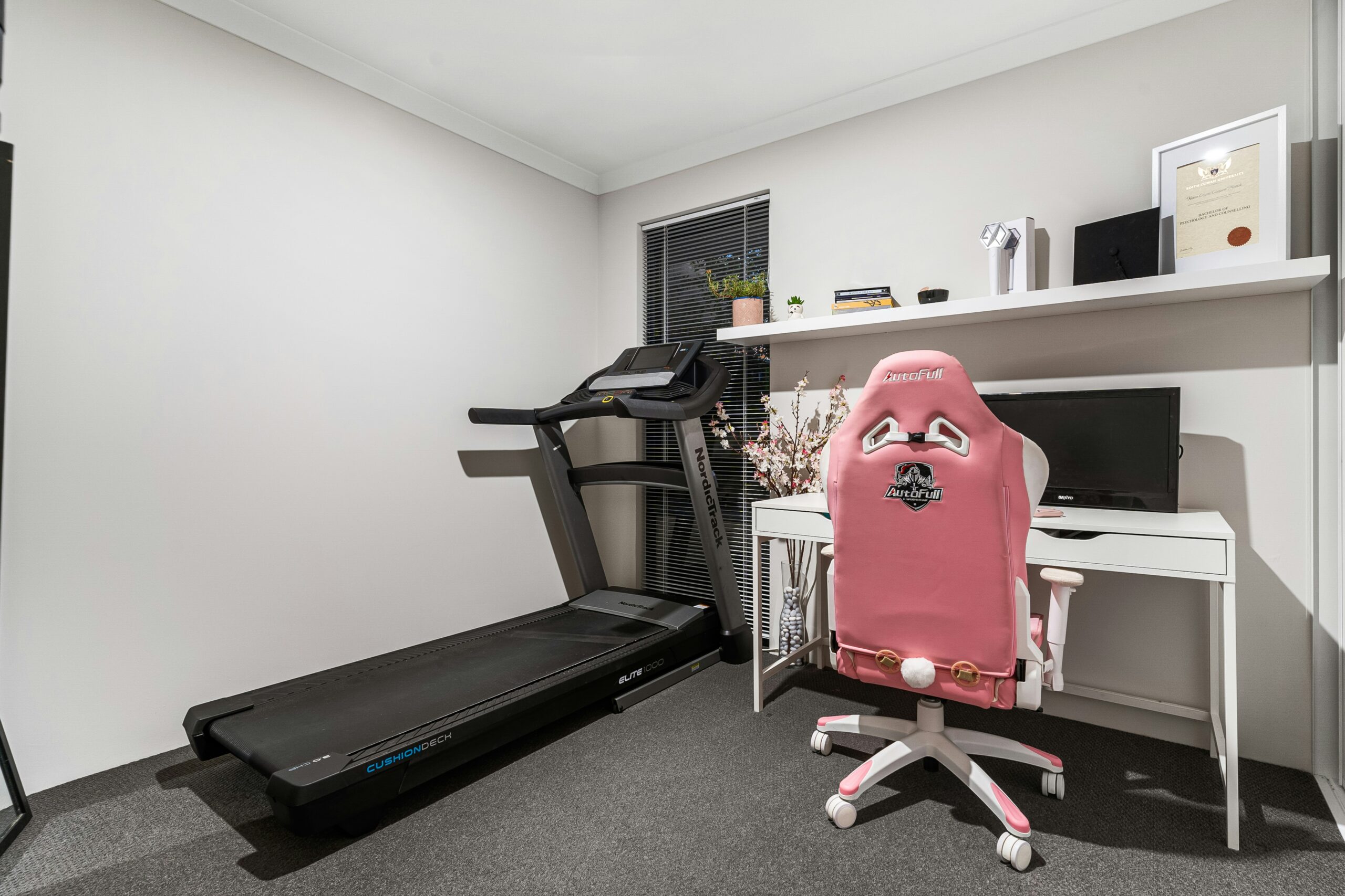 Affordable Home Gym Equipment Setup